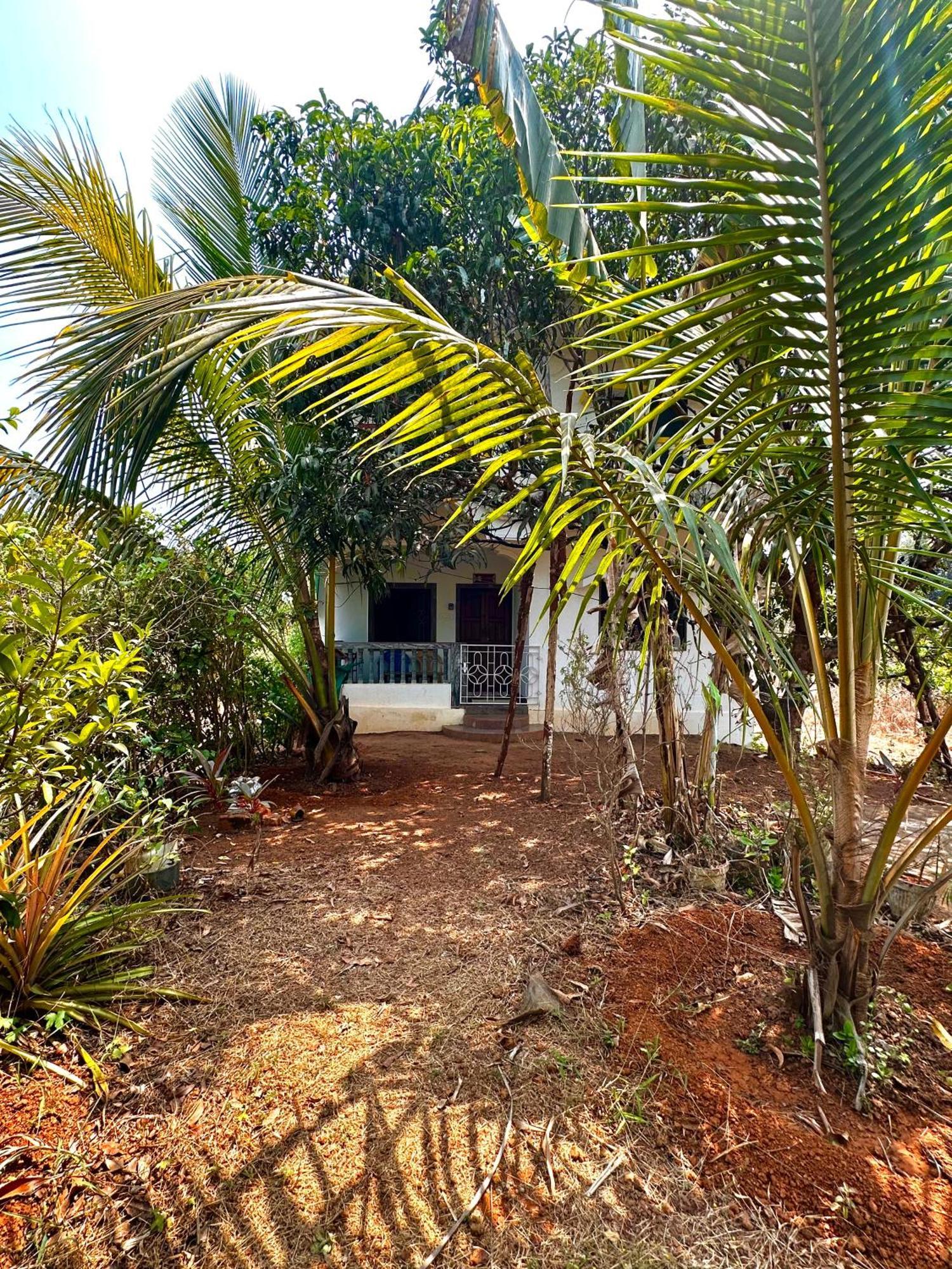 Evaddo Homes Mandrem Exterior photo